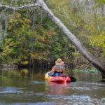 The Scenic Ocklawaha