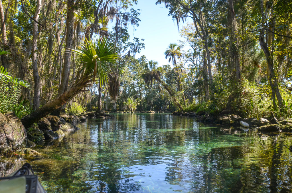 Three Sisters Spring Run