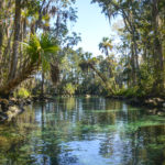 Three Sisters Spring Run