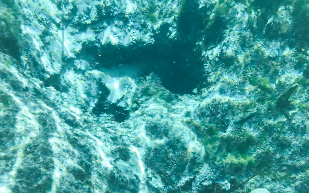 Vent - Three Sisters Spring #1