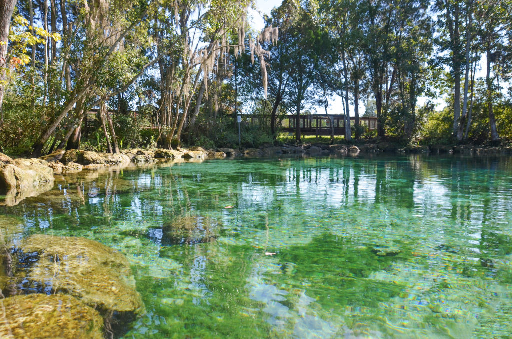 Three Sisters Springs #1