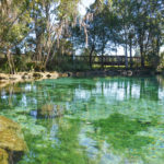 Three Sisters Springs #1