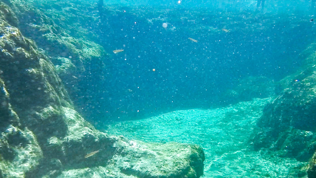 Below Little River Spring