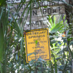 Beteejay Spring Info Sign