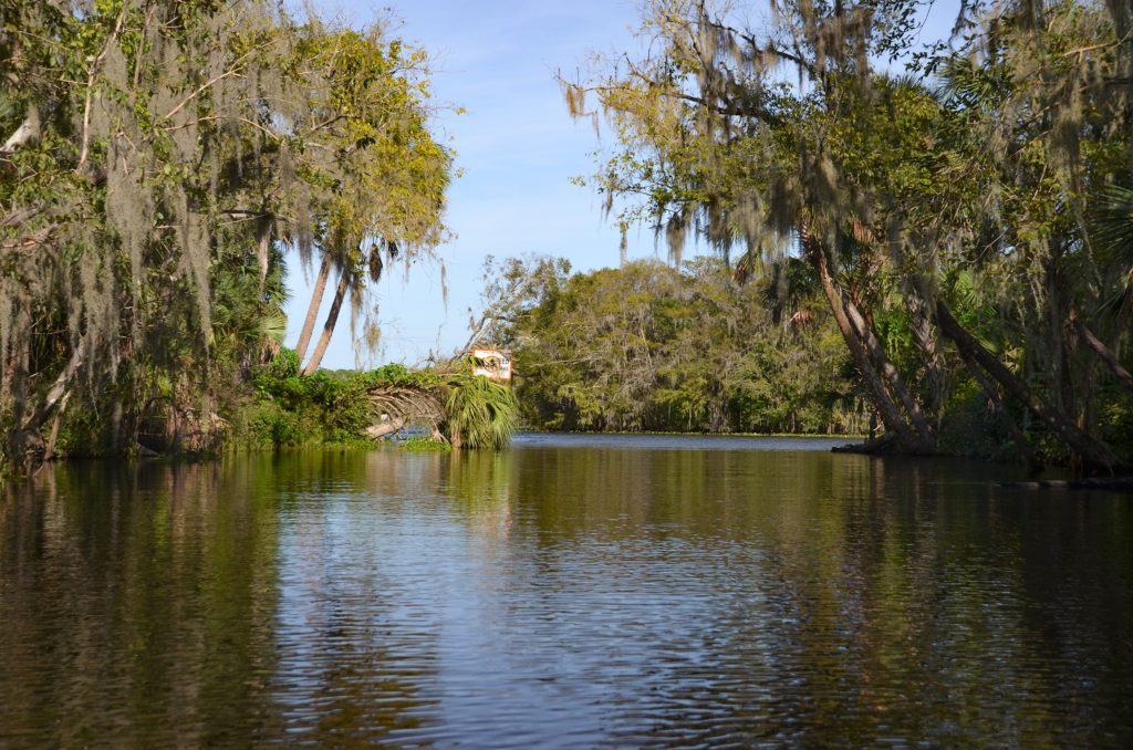 Canal 2 into St. Johns River