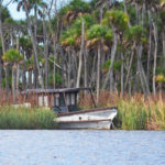 Chassahowitzka Cruise Line