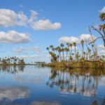 Crawford Creek - Chassahowitzka River