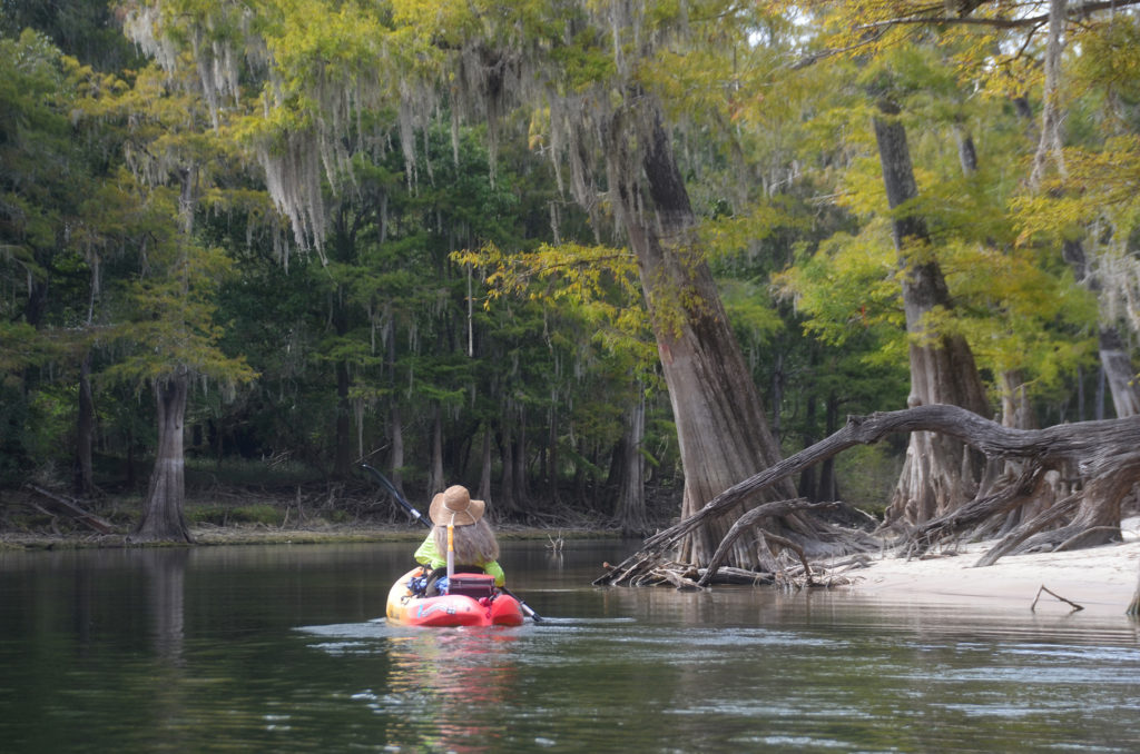 Paddling the Santa Fe River