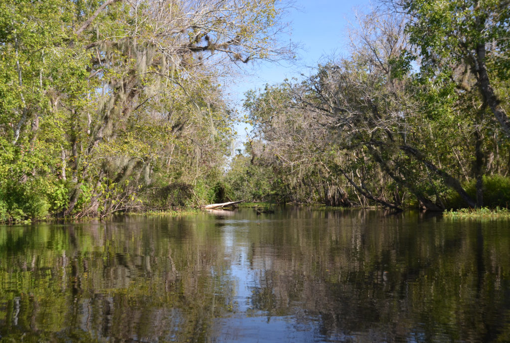 Entrance to Canal #1