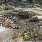 LAF1024001 Spring - Suwannee River