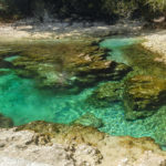 Little River Spring - Suwannee River