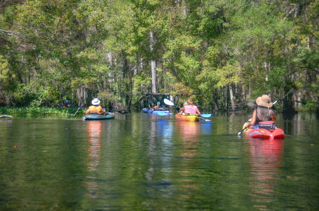 Paddling Haw Creek