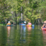 Paddling Haw Creek