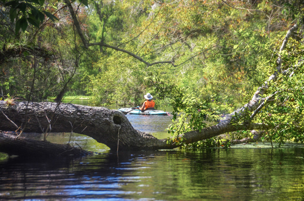 Paddling on Haw Creek