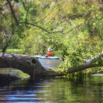 Paddling on Haw Creek