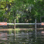 Restoration Area - Hontoon Island