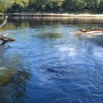 Suwannee River from Mearson Spring