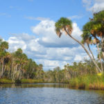 The Chassahowitzka River