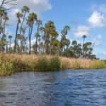 The 'Chaz' Shoreline