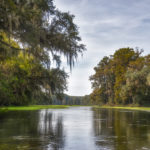 The Ichetucknee River