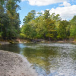 Troy Spring - Suwannee River