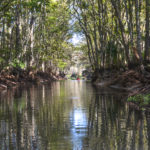 Cannon Spring Canal