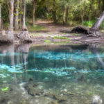 Canon Springs - Ocklawaha River