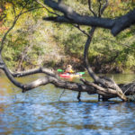 Donna - St Mary's River