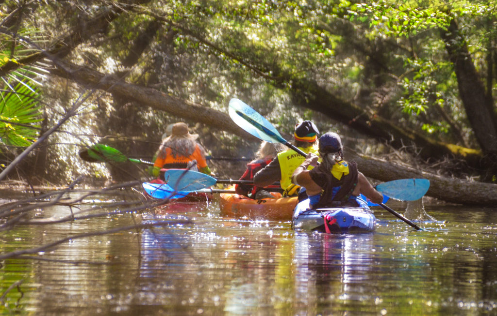 Exploring a side creek