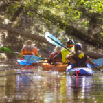 Exploring a side creek