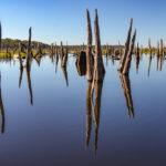 Ocklawaha Reflection