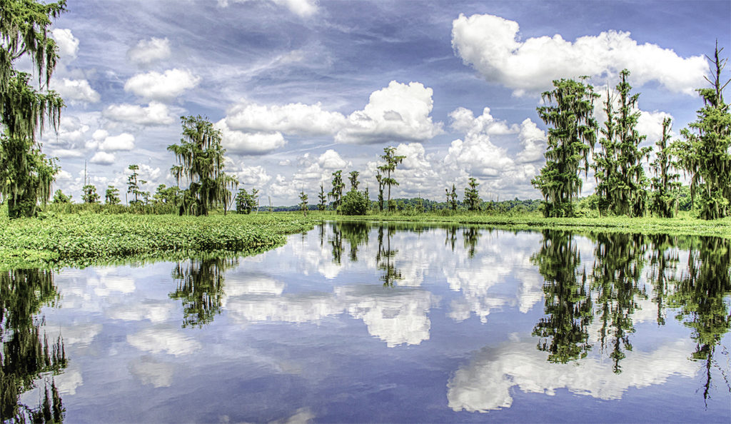 The Ocklawaha River