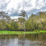 Ocklawaha River