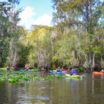 October on the Ocklawaha River