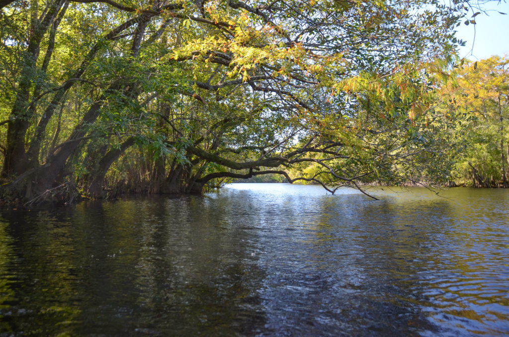 Overhang on the St Marys River