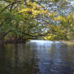 Overhang on the St Marys River