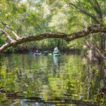 Paddling Spanish Creek