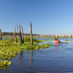 Paddling the Original Ocklawaha Channel