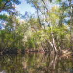 Spanish Creek - St Marys River