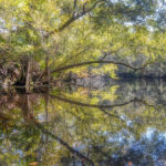 St Marys Reflection