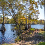 St Marys River at Trader Hill