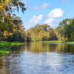 The Ocklawaha River