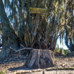 Mussent Touchit Bayou-Sign