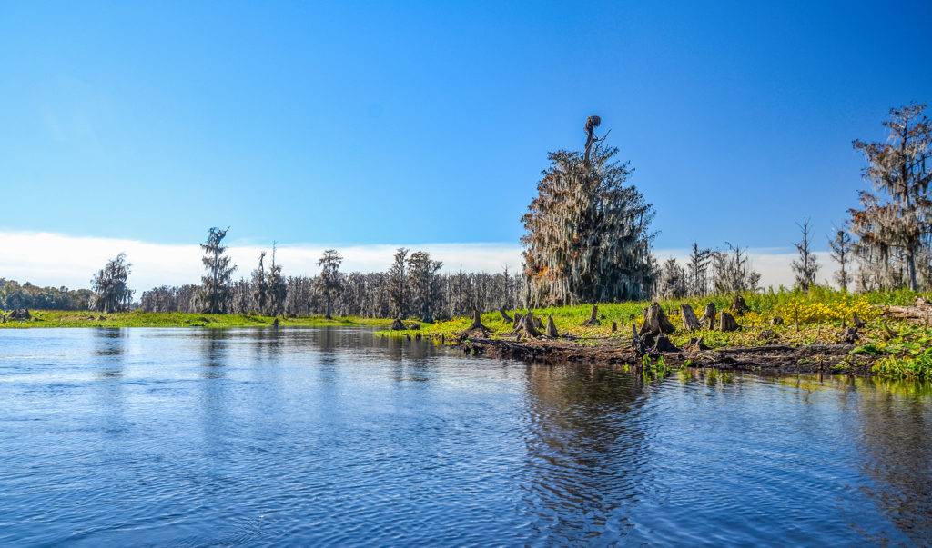 Ocklawaha River Wilderness