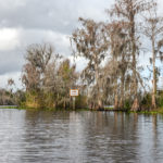 Approaching the St Johns River