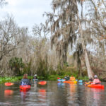 Drifting on the Wekiva River