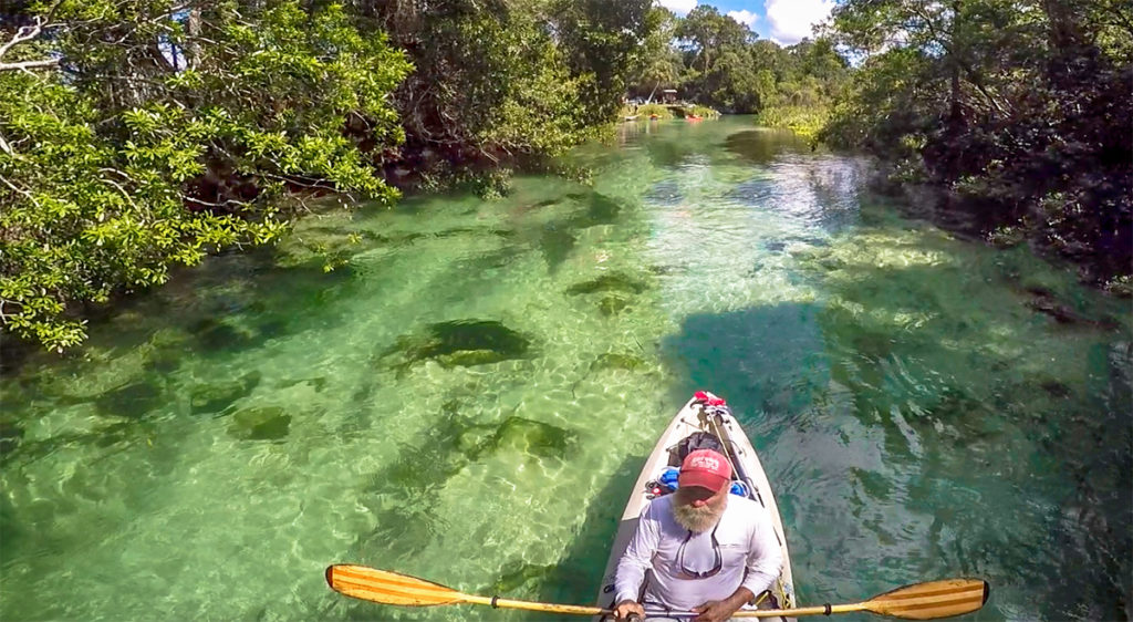 Florida Paddle Notes on the Weeki Wachee River