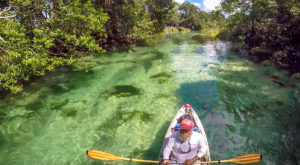Florida Paddle Notes on the Weeki Wachee River