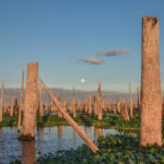 Full Moon Rises at Sunset - Ocklawaha River