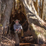 James in Large Cypress - Ocklawaha River